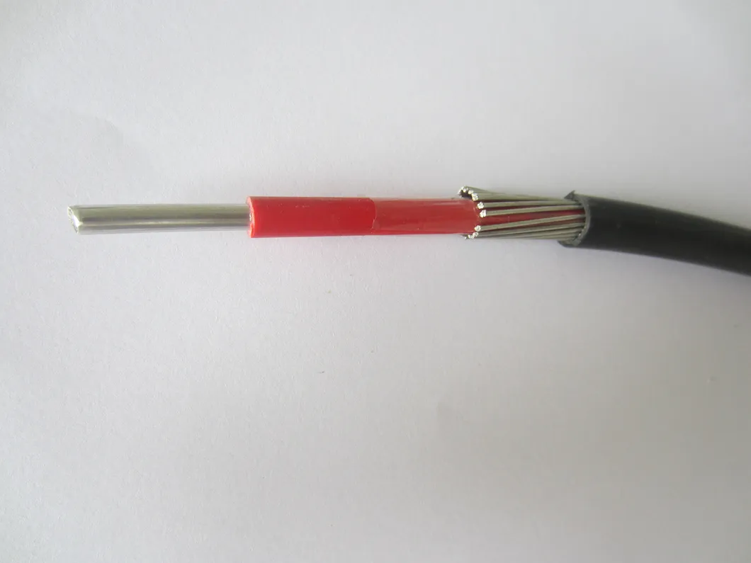 0.6/1kv Aerial Service Concentric Neutral Cable with Pilot Communication Wire Sne Cne Airdac Cable