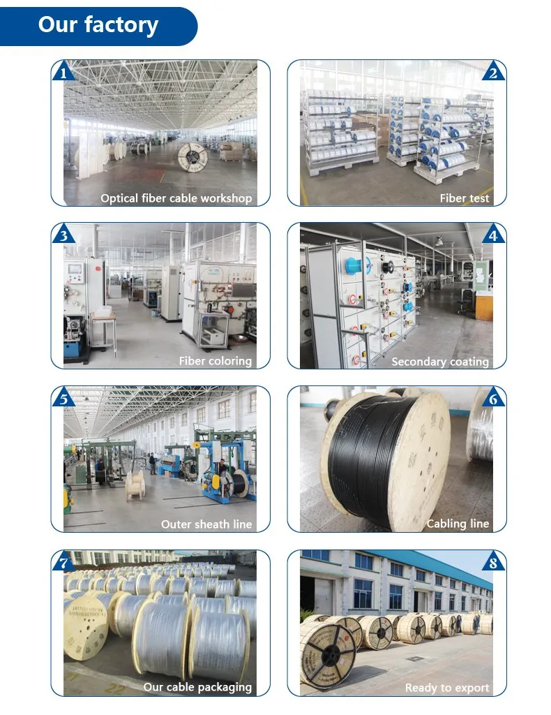 276 Core Fiber Ribbon Cable for Duct Connection Gydxtw