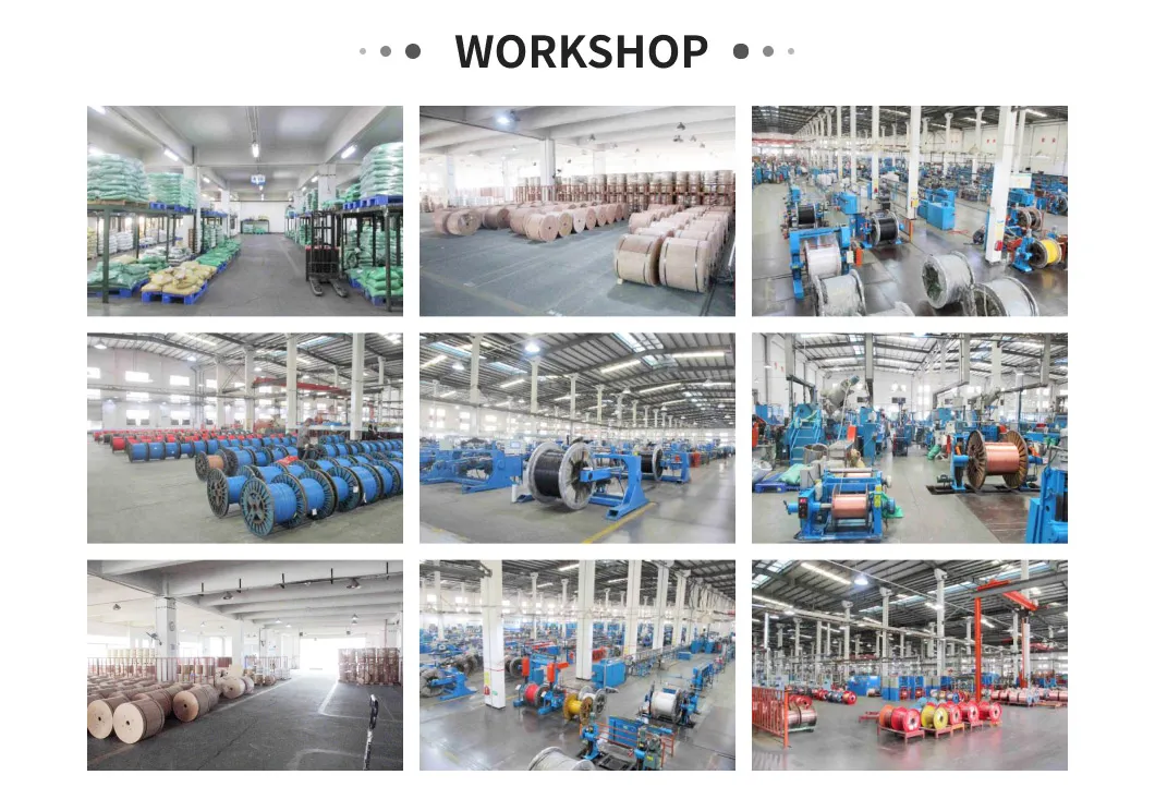 2kv 5kv Flat or Round Submersible Oil Pump Cable