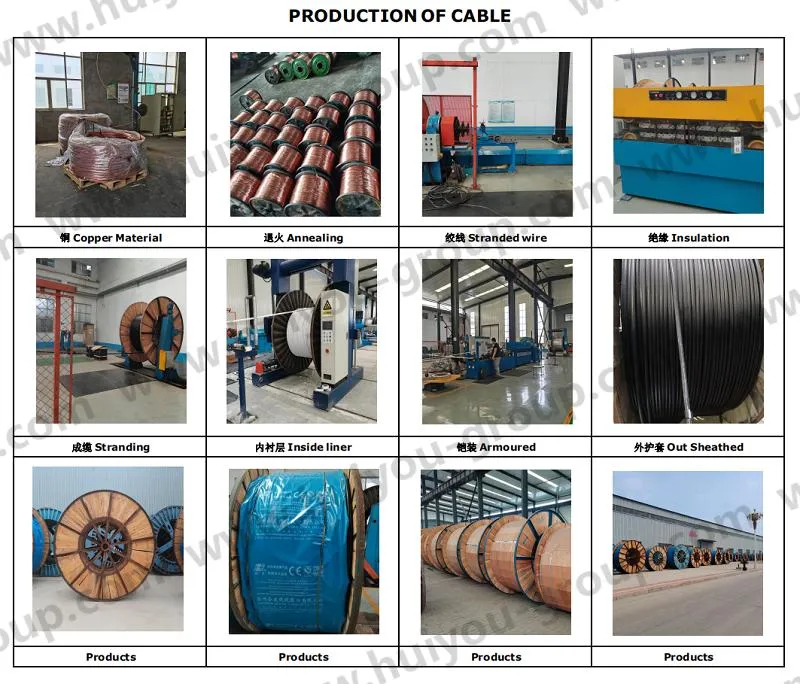 600/1000V PVC Insualted Power Cable VV Vlv