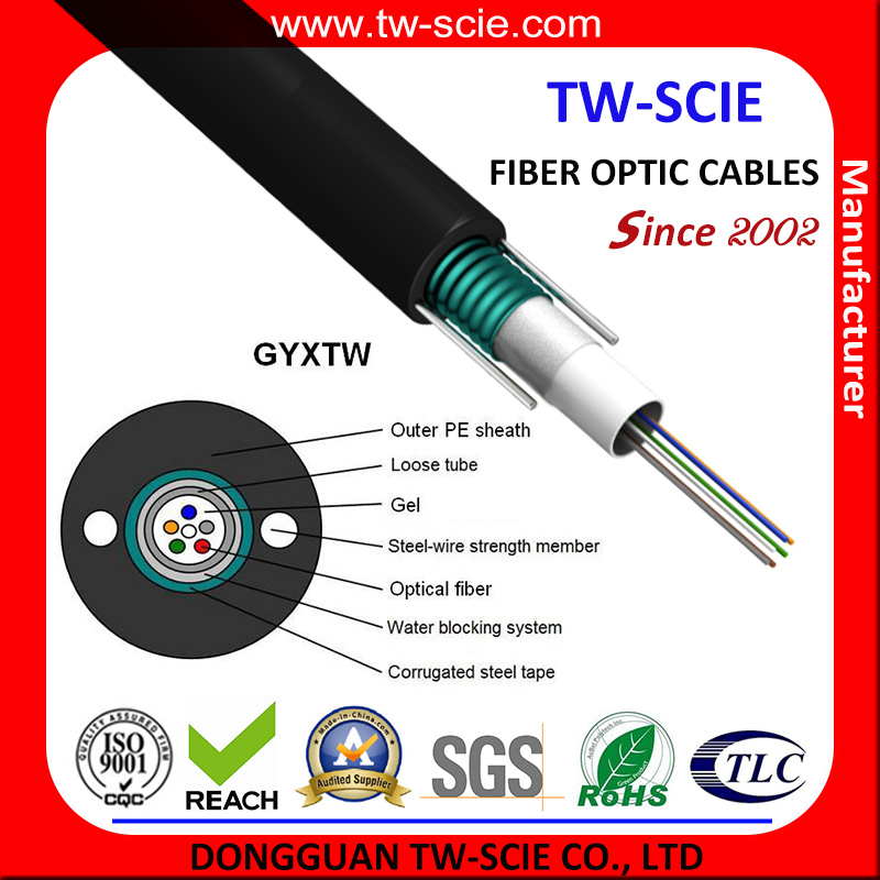 Central Aerial Fiber Optic Cable Steel Wire Strengthen Loose Tube Fiber Outdoor Cable 2- 12c GYXTW
