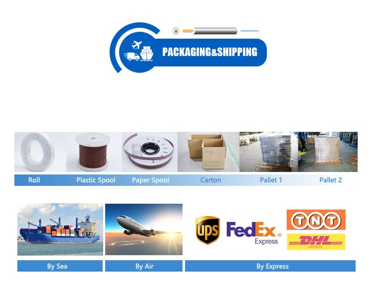 China Manufacture Bulk Supply Avss Jaso D611 Standard Electric Vehicle Wire PVC Rainbow Customized PVC Copper Electrical Wire