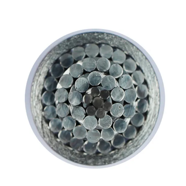 Cn 2021 New Style ACSR Conductor Armoured Marine Cable