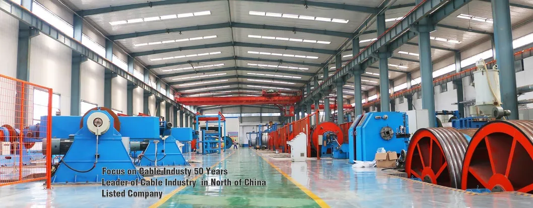 Electric Line BV House Wire Cable