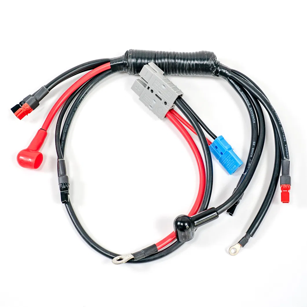 Experienced Wire Harness Assembly China Manufacturer for Consumer Electronics