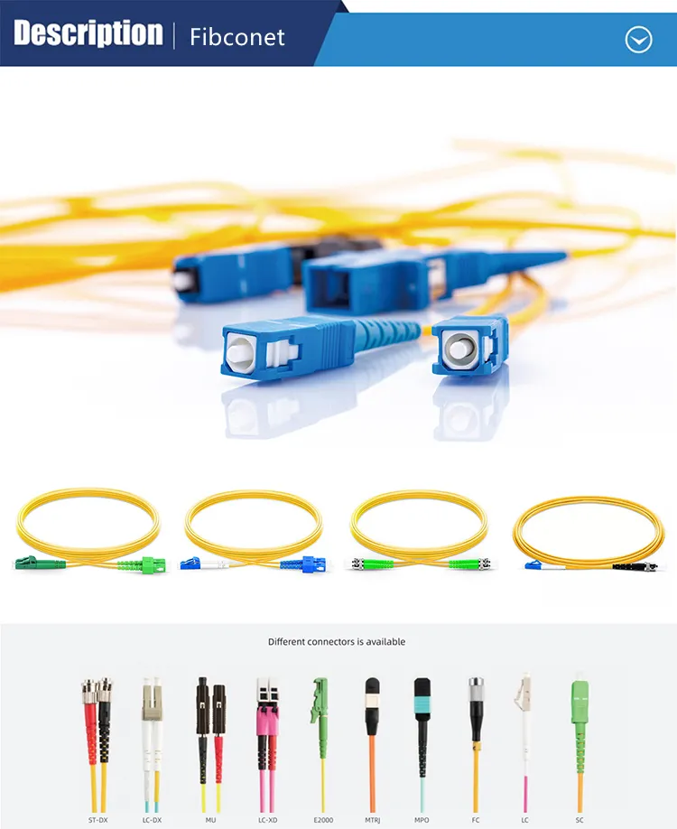 FTTH Single Mode 4 6 8 12 24 48 96 Core Distribution St Upc APC Fan-out Bundle Fiber Optic Pigtail