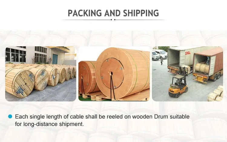 Hanxin 19 Years Optical Fibre OEM Factory Supply Aerial Armored Unitube GYXTW Fiber Optic Cable