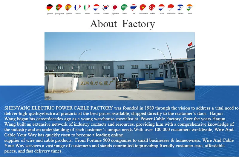 Shenguan Armored Power Cable for Mining Well, Underground and Indoor Use Insulated Flexible Mining Pump