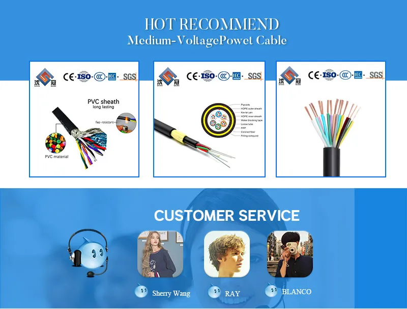 Shenguan BV Bvr Thw Thhn Electrical Wire Cable China Cable 11/33 Kv Middle Voltage Single Core PVC Insulated Copper Cable Wire Lower Voltage