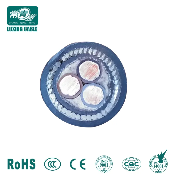 XLPE Swa PVC Cable/XLPE Power Cable/Kinds of XLPE Power Cable